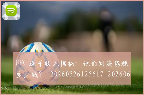 UFC 选手收入揭秘:他们到底能赚多少钱?_20260526125617_20260607160310